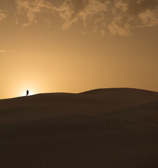 Fototapeta na wymiar dunes