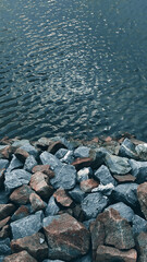 stones in water