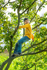 The young boy  stands on a tree branch in the garden