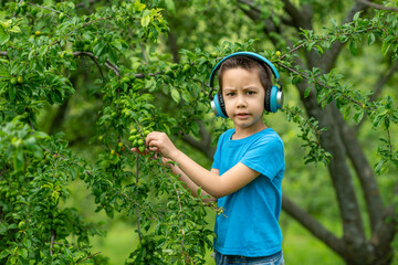 Little boy with headphones shows  at unripe fruits on a fruit tree in the garden