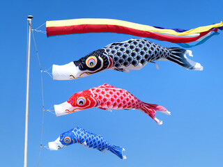 初夏の青空にはためくコイノボリ
