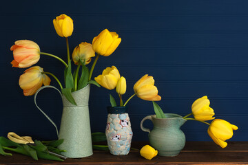 Spring Yellow Tulips Still Life with green vases on a wood shelf or table with dark navy blue boards background for copy space.  It's a horizontal with a side view. © canduscamera