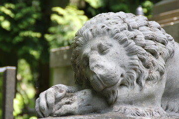 sleeping lion, lion sculpture © AMTM