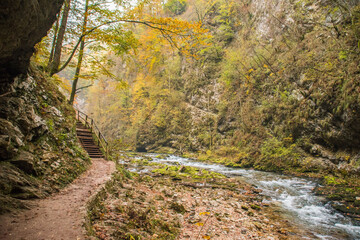 Trail scenes from Vintgar gorge in the Fall in Slovenia
