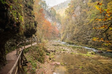 Trail scenes from Vintgar gorge in the Fall in Slovenia