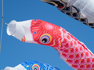 初夏の青空にはためくコイノボリ
