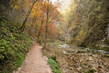 Fototapeta na wymiar Trail scenes from Vintgar gorge in the Fall in Slovenia