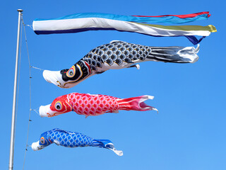 初夏の青空にはためくコイノボリ
