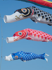 初夏の青空にはためくコイノボリ
