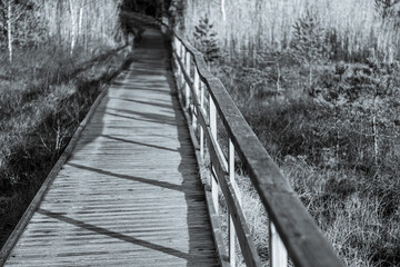 footpath over the marsh