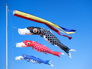 初夏の青空にはためくコイノボリ
