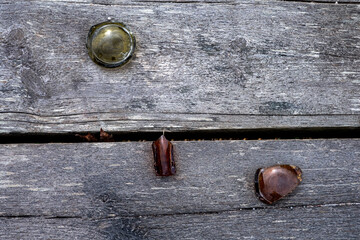 parts of a glass bottle against aged wood