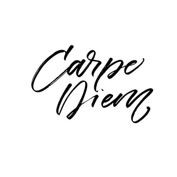 Carpe diem card. Hand drawn brush style modern calligraphy. Vector illustration of handwritten lettering. 