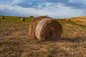 Campo di balle di fieno, Sicilia