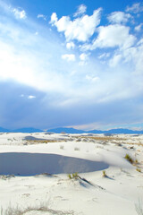 Fototapeta na wymiar White Sands National Park -- Scenic view with sand dunes, vegatation & cloudy sky as backdrop