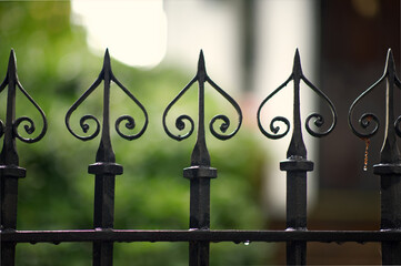 Part of an old wrought iron fence or gate in Charleston, SC.