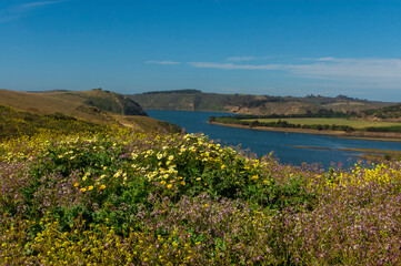 Desenbocadura Rio Rapel Navidad la boca sexta region Chile rio Flors naturaleza paisaje