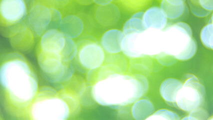 Fototapeta premium グリーンの光のイメージ