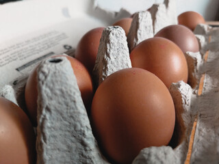 Brown eggs in cardboard egg box