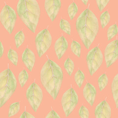 Pale-green leaves on pink background: floral watercolor seamless pattern, hand drawn background, textile print, tender wallpaper texture.