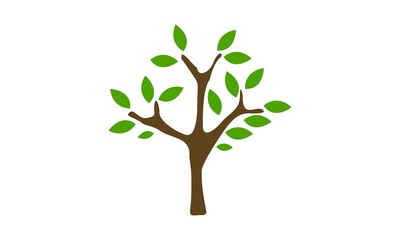Obraz premium Tree with green leaf illustration vector icon