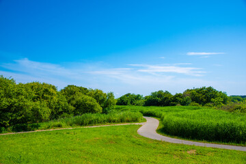 田舎道