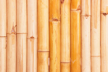 bamboo fence background