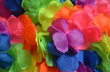 Fondo de flores de colores del arcoiris, como la bandera del orgullo gay.