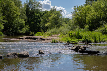 Fototapeta na wymiar A shallow, calm river on a sunny, warm day