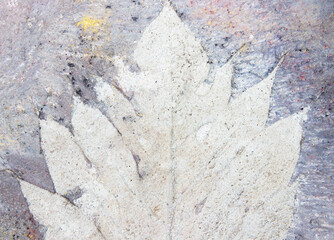 Marks  of leaf on the concrete pavement.
