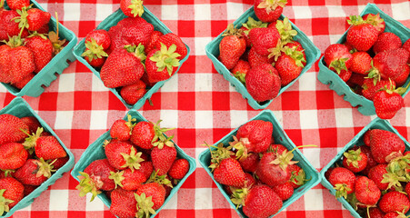 Strawberries - The organized strawberry containers on the red and white checkered table cloth create an interesting diamond pattern