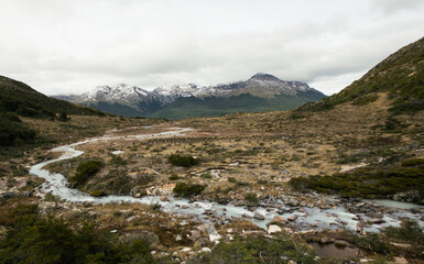Glacier water rocky stream flowing downhill across the valley, yellow meadow and forest, into the Andes mountains with snowy peaks. 