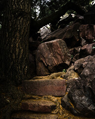 stone wall in the forest