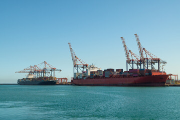 Fototapeta premium Cranes in the port of Cape Town unload container ships.