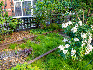 close view of New York High Line park in summer