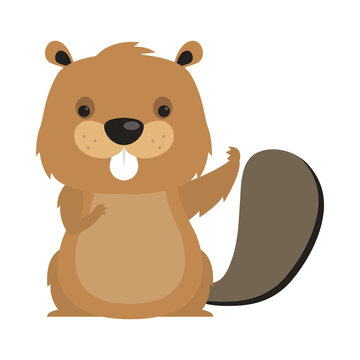 Cute beaver cartoon vector design