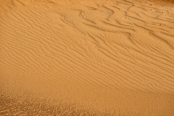 Wave of sand texture. Yellow sand texture for background.Beautiful waves on sand.