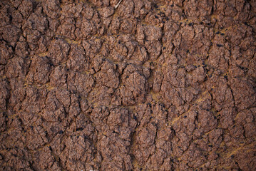 Texture of land dried up by drought, the ground cracks background with grunge. Black Soil Texture Background. Top View of a Dark Ground Surface. Close Up Macro View of Dirt and Stones. Text Space.