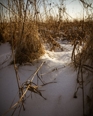frozen river in winter