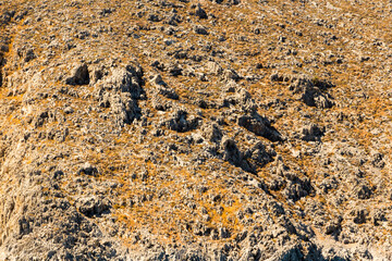 Texture of mountain rock with grass and leaves. crevices covered with vegetation. Greece, Islands