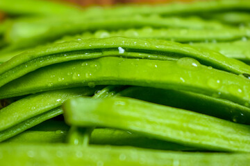 Cluster Bean or  GuarAlso Known as Gavar, Guwar or Guvar Bean isolated on Wooden Background