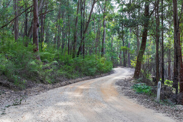 Fototapeta na wymiar A dirt track in the Wollemi National Park in regional New South Wales