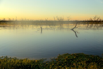 Bañado la Estrella Formosa 