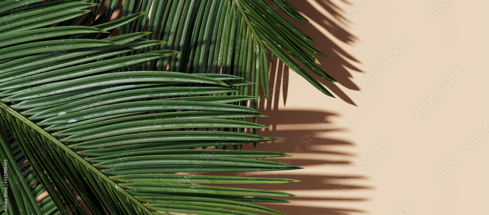 Poster minimal tropical background for product presentation. palm with shadow of leaf on beige background. 