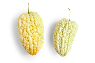 Bitter melon isolated on white