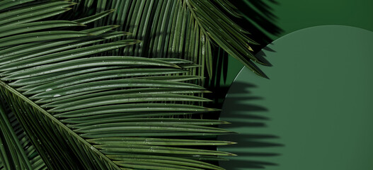 Minimal cosmetic background for product presentation. Green podium and palm with shadow of leaf. 3d render illustration. Object isolate clipping path included.