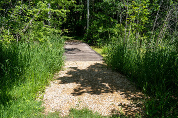 Fototapeta premium Small wooden footbridge spanning a swamp along a trail in Minneopa State Park in Mankato, Minnesota in spring
