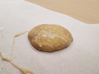 Fototapeta na wymiar a blob of brown slime on wax paper