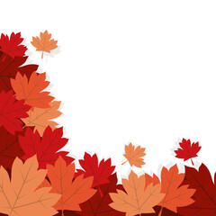 Naklejka na ściany i meble Autumn maple leaves vector design