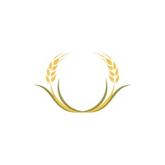 Agriculture wheat Logo Template vector icon design. Vector illustration